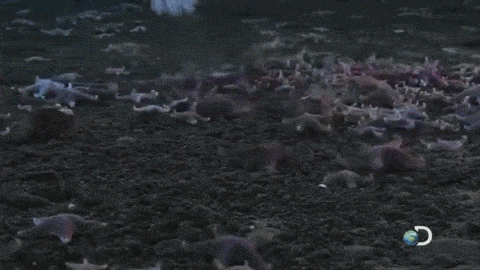 바다 속 얼음 생기는 과정 | 인스티즈