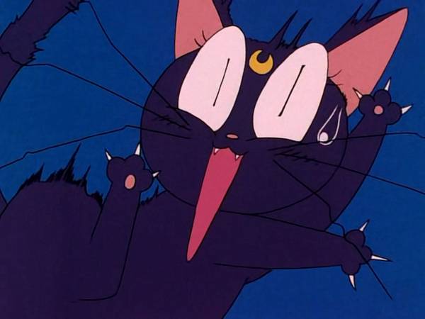 미소녀 전사 세일러문 (美少女戦士セーラームーン) 03 | 인스티즈