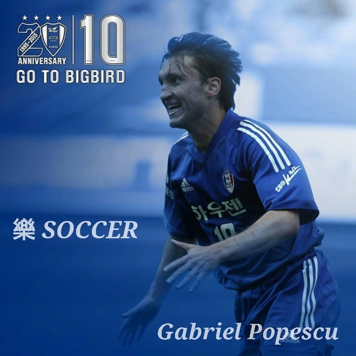 제가 돌보는 길냥이에요~6 feat.아침 일상 | 인스티즈