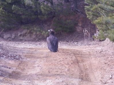 GOP에 출현하는 몹들 | 인스티즈