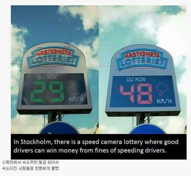 스웨덴의 로또.jpg | 인스티즈