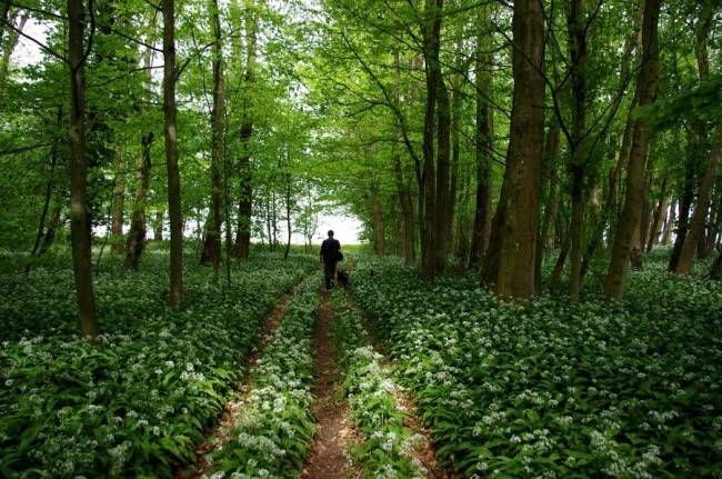 마음이 정화되는 게시물 | 인스티즈