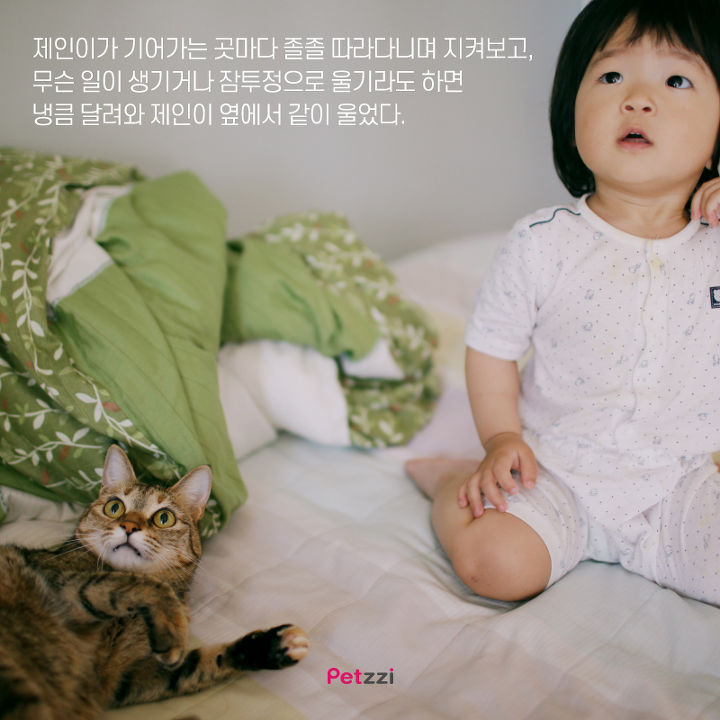 아기와 고양이의 교감 | 인스티즈