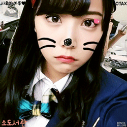 대륙의 유리다리 | 인스티즈