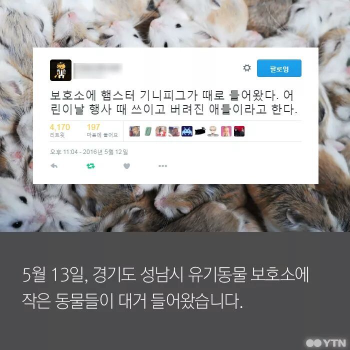 햄스터가 폐기물인가요? | 인스티즈