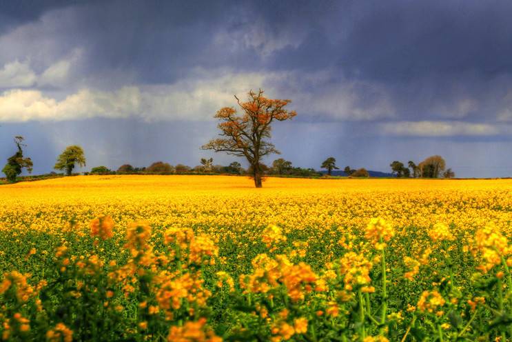 마음이 정화되는 게시물 | 인스티즈