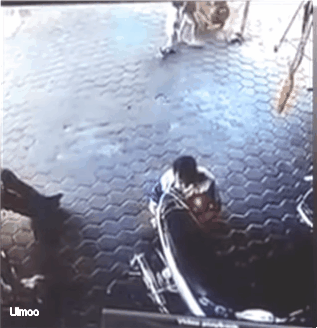 고속 차량으로부터 두 아이를 구하는 아빠 | 인스티즈