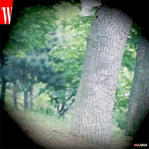 숨는것도 귀여운 나나 | 인스티즈