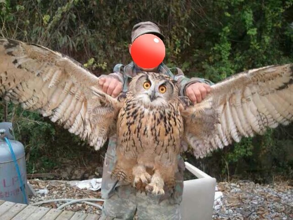 GOP에 출현하는 몹들 | 인스티즈