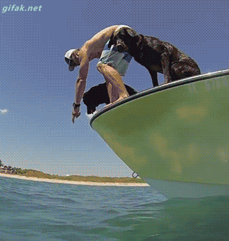 저거보이지? 저거가서 물어와 | 인스티즈