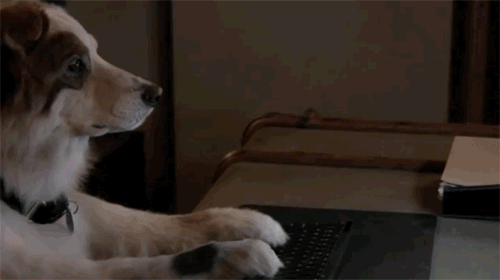 사람같은 동물들gif | 인스티즈