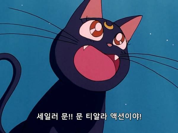 미소녀 전사 세일러문 (美少女戦士セーラームーン) 03 | 인스티즈