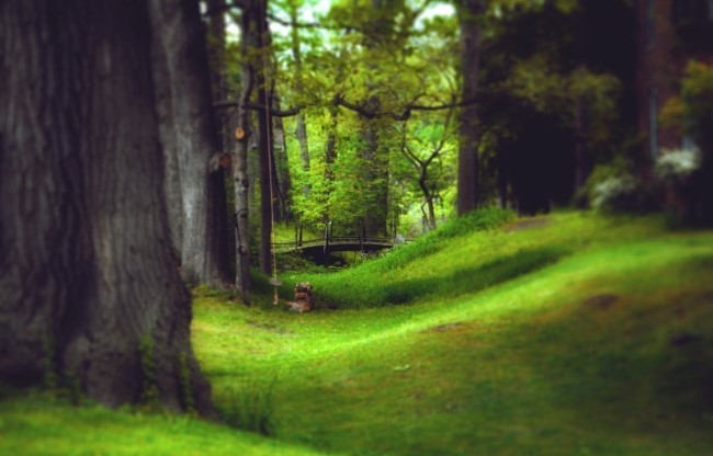 마음이 정화되는 게시물 | 인스티즈