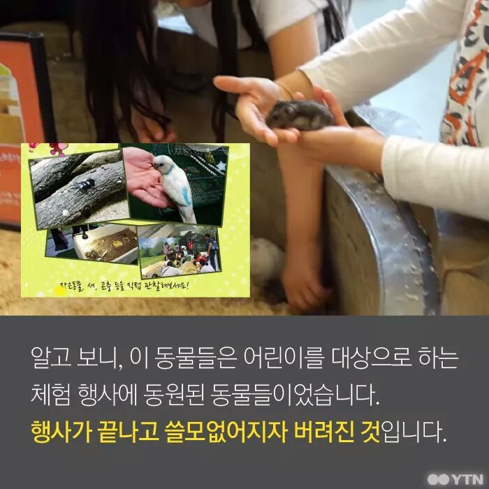 햄스터가 폐기물인가요? | 인스티즈