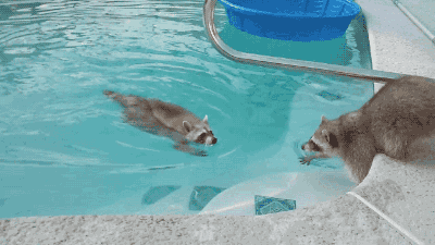 호기심쟁이 vs 걱정쟁이 | 인스티즈