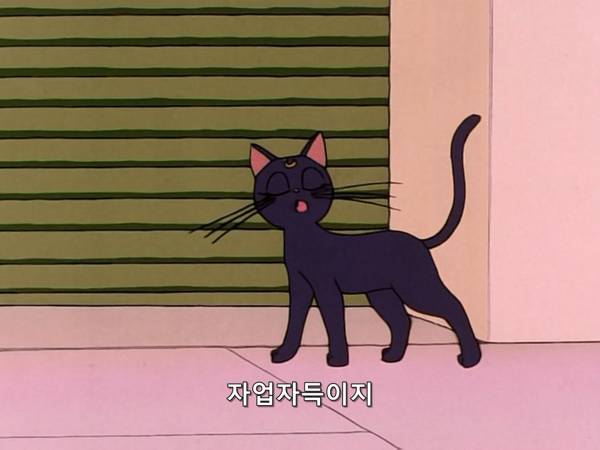 미소녀 전사 세일러문 (美少女戦士セーラームーン) 03 | 인스티즈