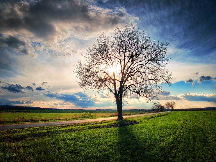 마음이 정화되는 게시물 | 인스티즈