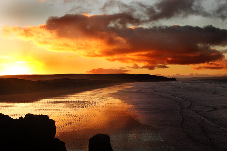 마음이 정화되는 게시물 | 인스티즈