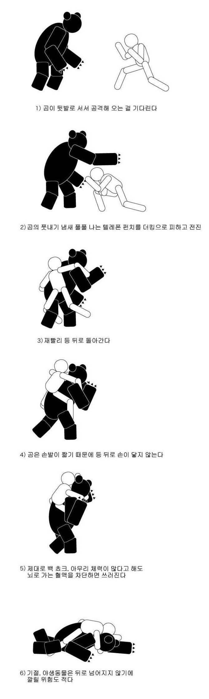 곰으로부터 자신을 지키는 호신술을 배워보자 | 인스티즈