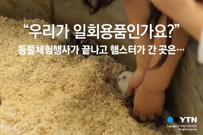 햄스터가 폐기물인가요? | 인스티즈