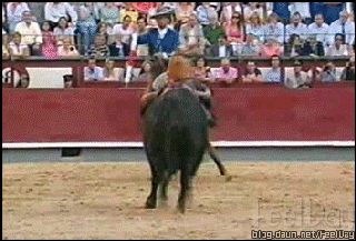 흑왕(黑王) - 명마 메를린 | 인스티즈