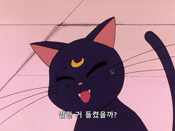 미소녀 전사 세일러문 (美少女戦士セーラームーン) 03 | 인스티즈