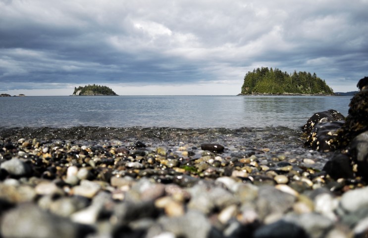 마음이 정화되는 게시물 | 인스티즈