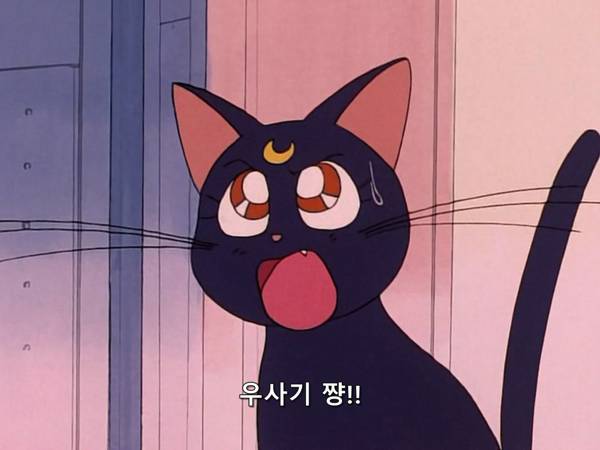 미소녀 전사 세일러문 (美少女戦士セーラームーン) 03 | 인스티즈