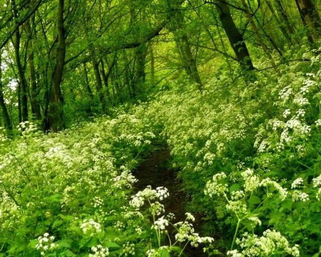 마음이 정화되는 게시물 | 인스티즈