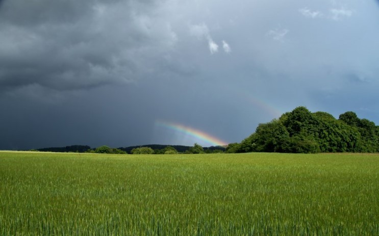 마음이 정화되는 게시물 | 인스티즈
