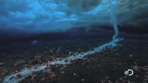 바다 속 얼음 생기는 과정 | 인스티즈