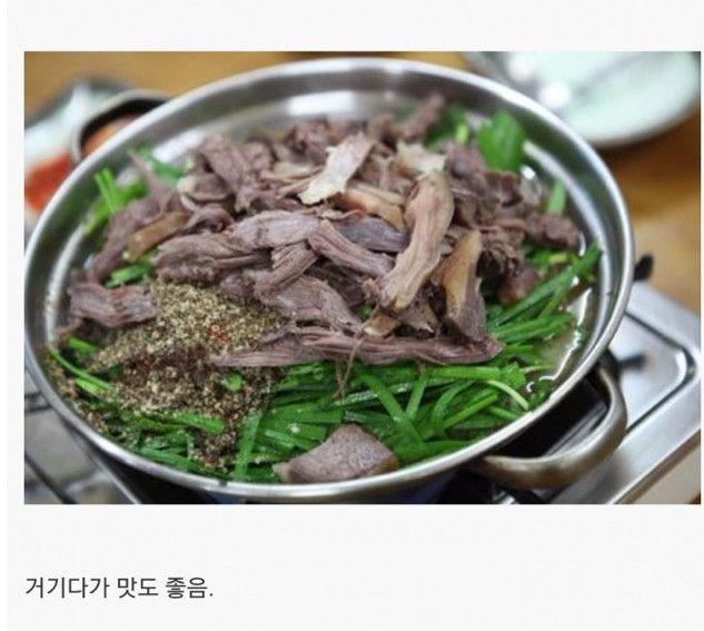 강아지 키우면 생기는 일 게시글의 진실 | 인스티즈