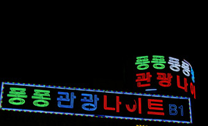 경기도 1기 신도시 성남 분당신도시 | 인스티즈