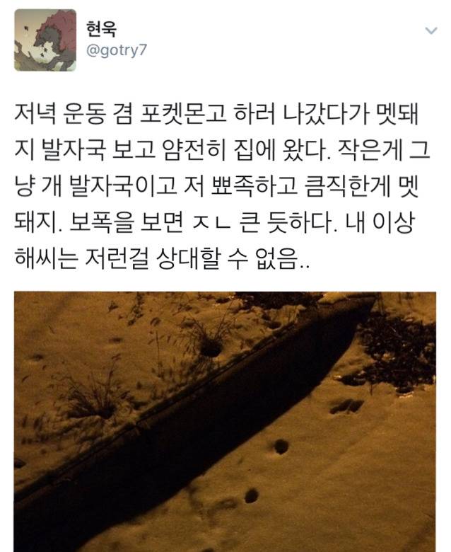 내 이상해씨는 저런걸 상대할 수 없음..(feat.멧돼지) | 인스티즈