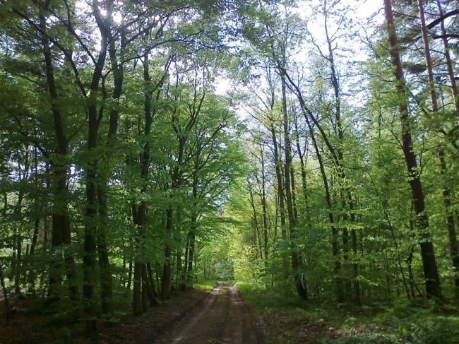 마음이 정화되는 게시물 | 인스티즈