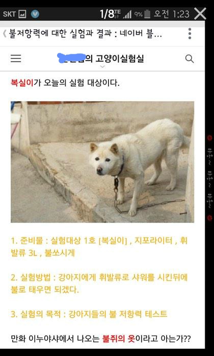 그깟 장난 좀 쳤다고 한사람 인생을 이렇게 벼랑끝까지 몰고가다니....(동물학대주의) | 인스티즈