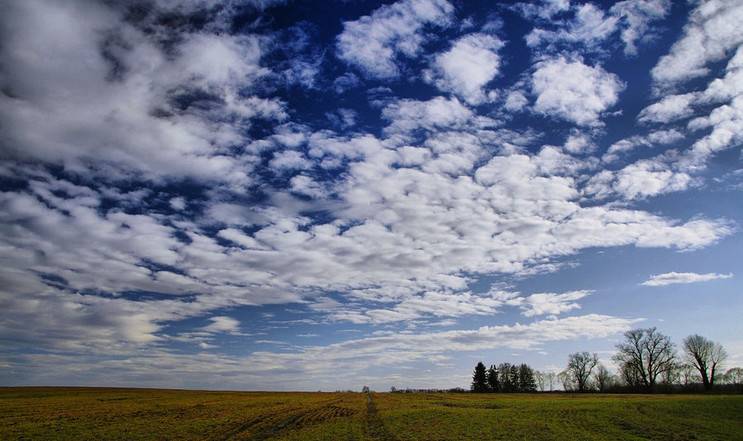 마음이 정화되는 게시물 | 인스티즈