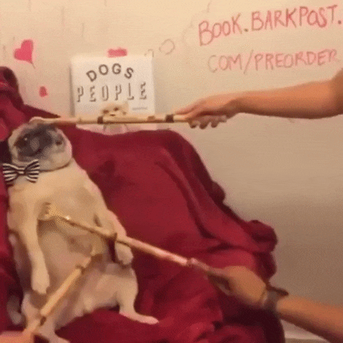 뿅가는 안마 서비스 | 인스티즈