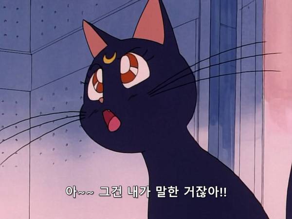 미소녀 전사 세일러문 (美少女戦士セーラームーン) 03 | 인스티즈