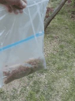 제가 돌보는 길냥이에요~6 feat.아침 일상 | 인스티즈