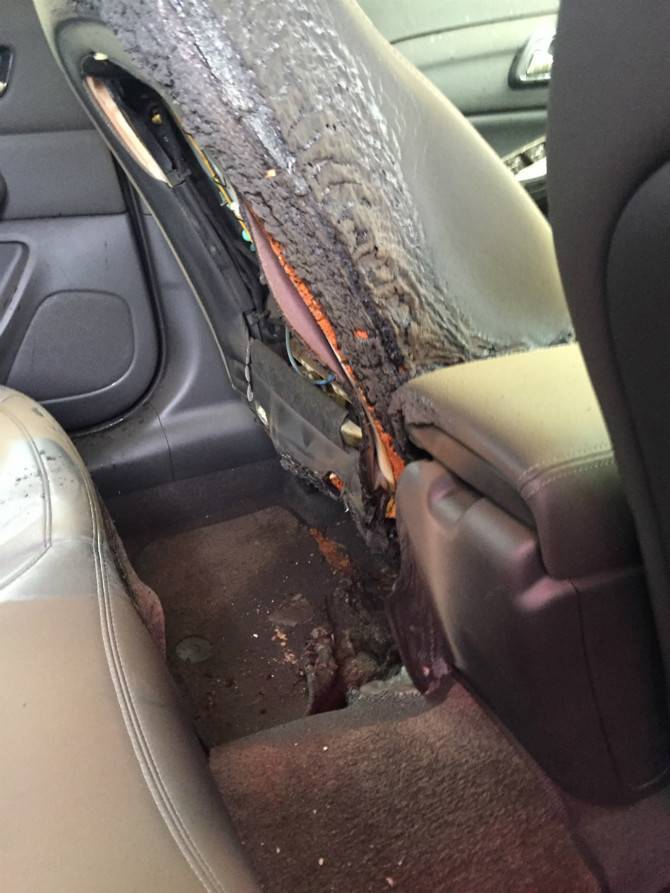 말리부 시트화재 ㄷㄷㄷㄷㄷㄷ | 인스티즈