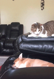 자는것도 맘에 안들어 | 인스티즈