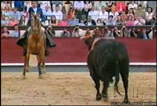 흑왕(黑王) - 명마 메를린 | 인스티즈