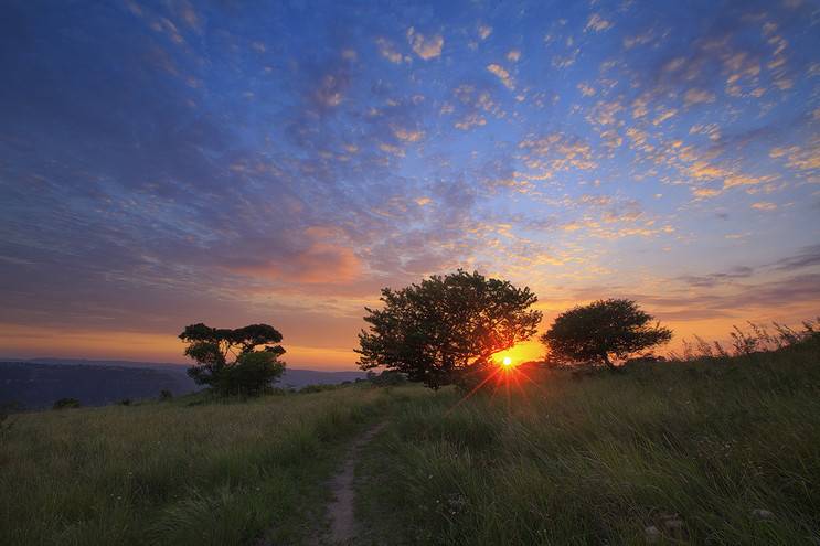 마음이 정화되는 게시물 | 인스티즈
