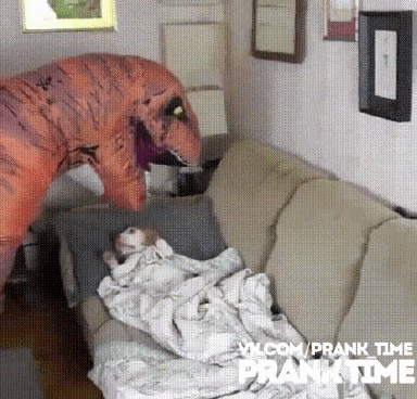 강아지를 친절하게 재워주는 주인님 | 인스티즈