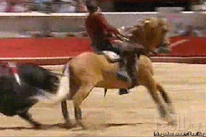 흑왕(黑王) - 명마 메를린 | 인스티즈