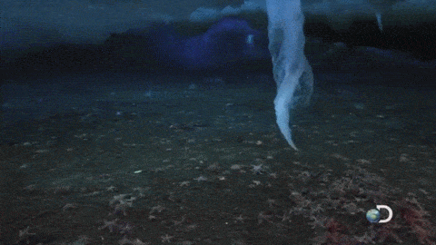 바다 속 얼음 생기는 과정 | 인스티즈