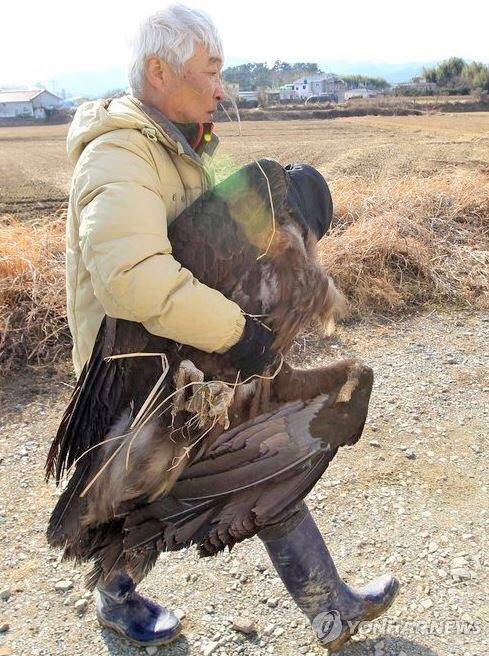 GOP에 출현하는 몹들 | 인스티즈