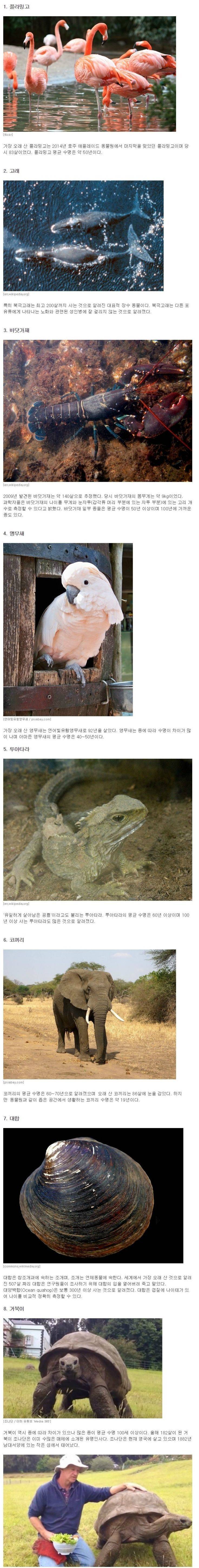 장수하는 동물들.jpg | 인스티즈