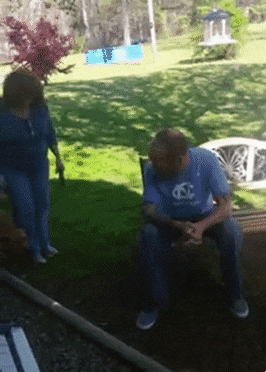 5주만에 주인 만난 강아지 | 인스티즈